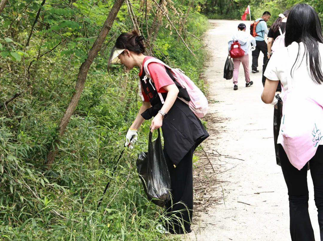 World Environment Day | Jiangsu Beiren launches 2025 public welfare mountain cleaning activity