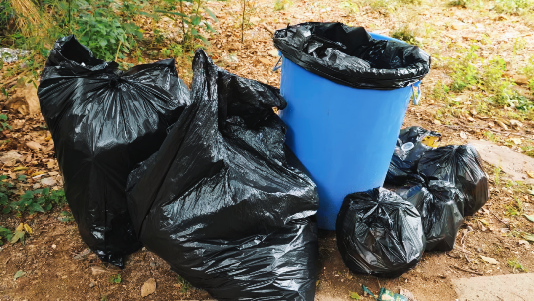 World Environment Day | Jiangsu Beiren launches 2025 public welfare mountain cleaning activity